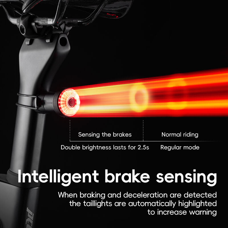 Q0 Tail Light Brake sensor USB-C