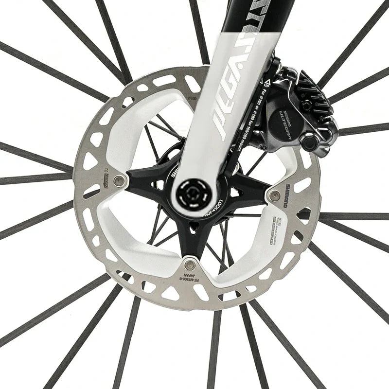 PGZ - Carbon Fiber Road Bike –  Black and White