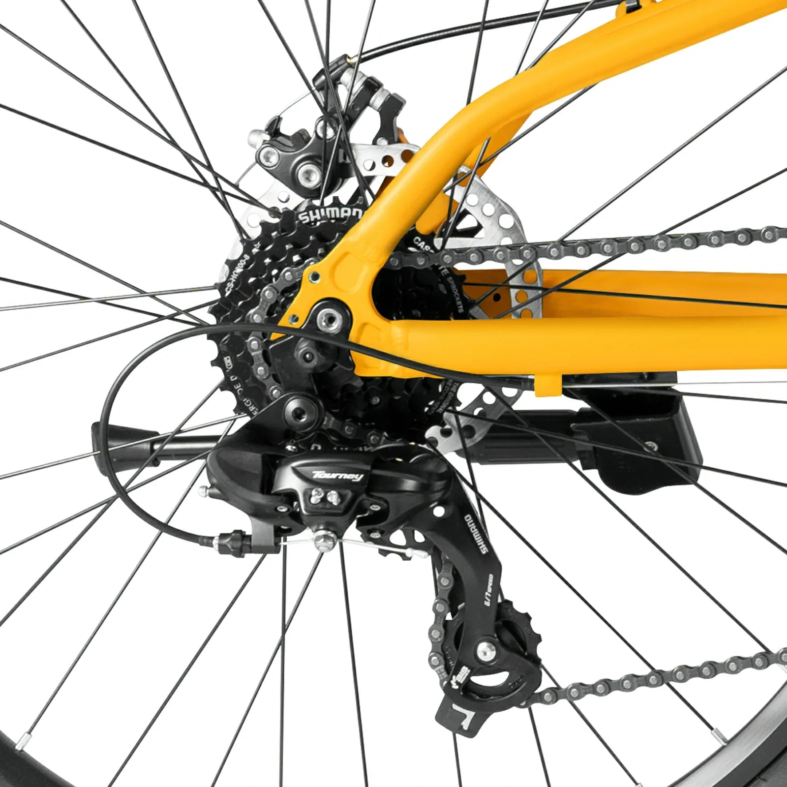#color_yellow