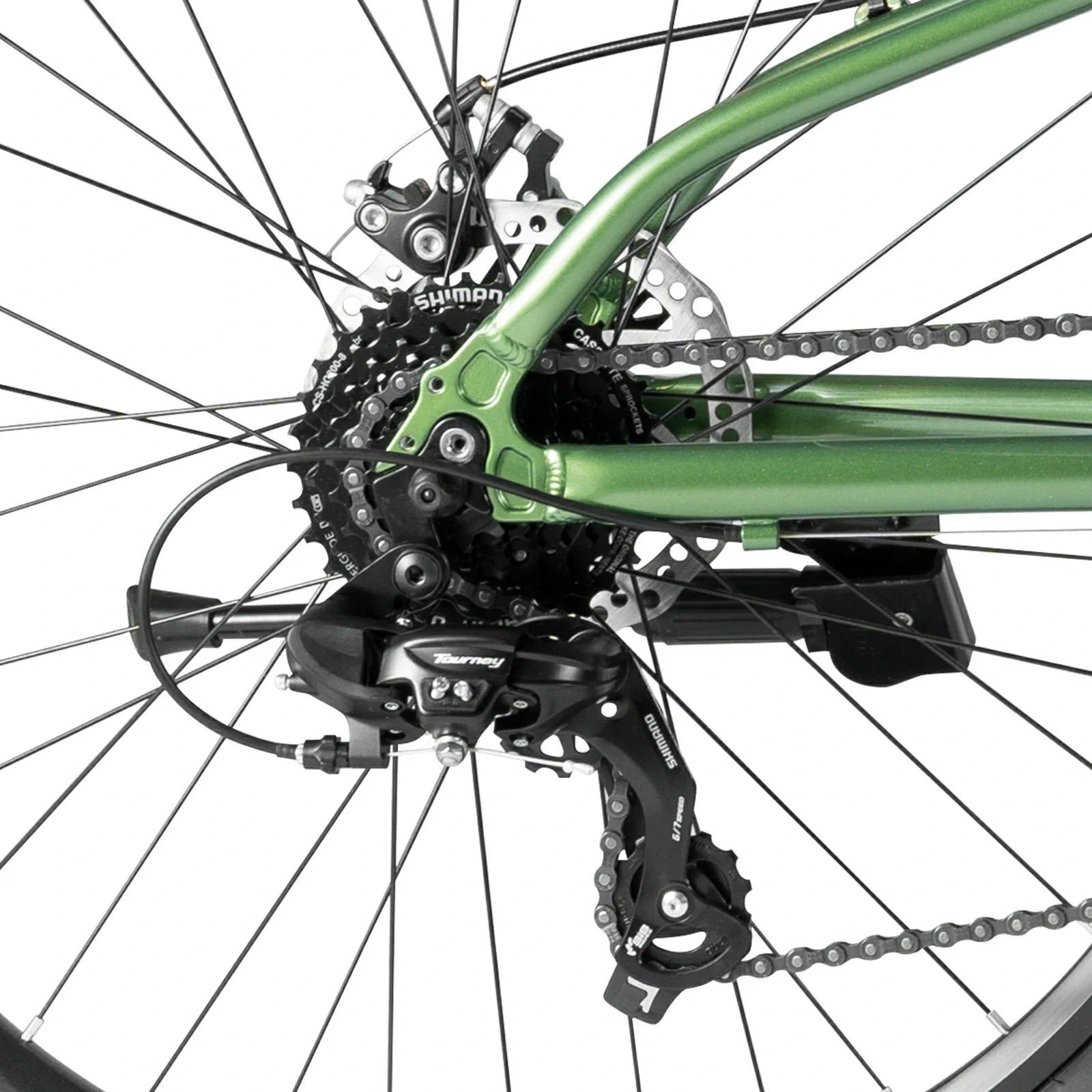 #color_green