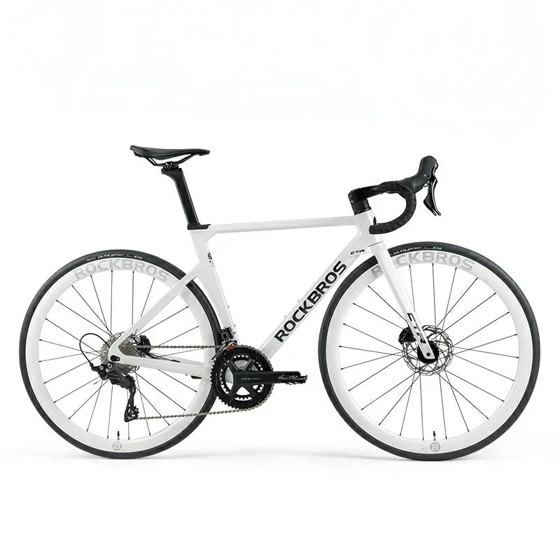 Full carbon fork absorbs road vibrations