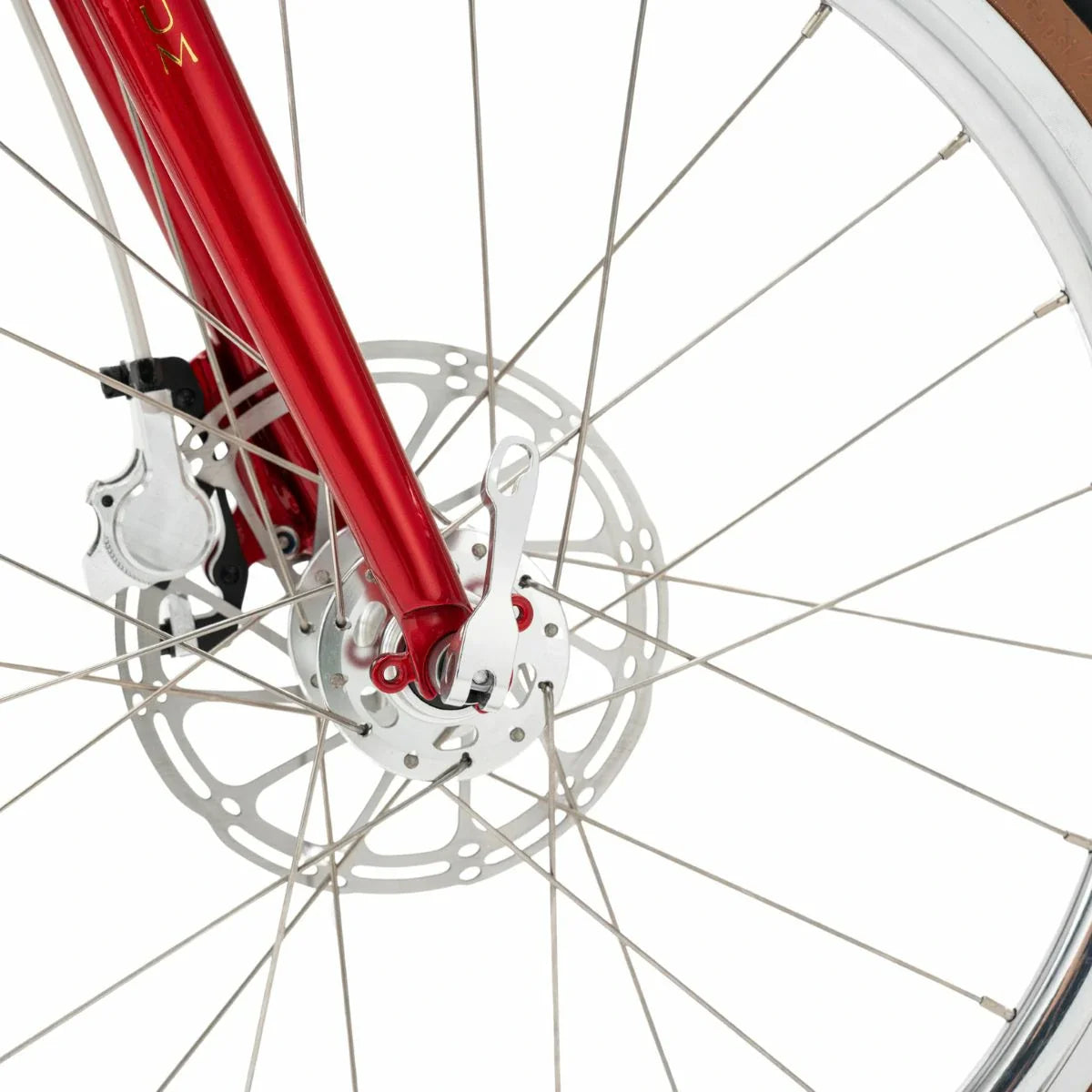 Close-up of a bicycle wheel with red fork and disc brake #Color_Red