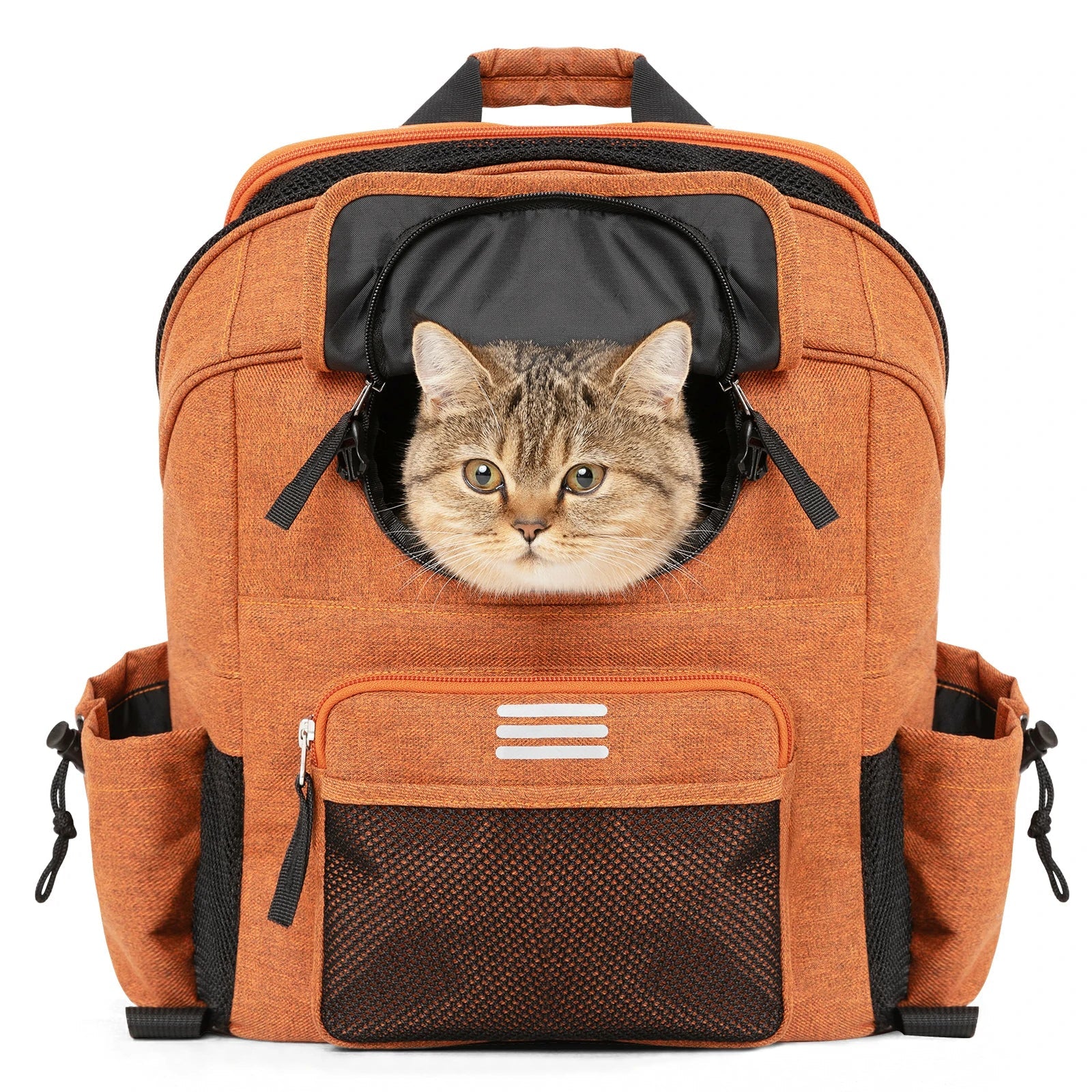 #color_orange