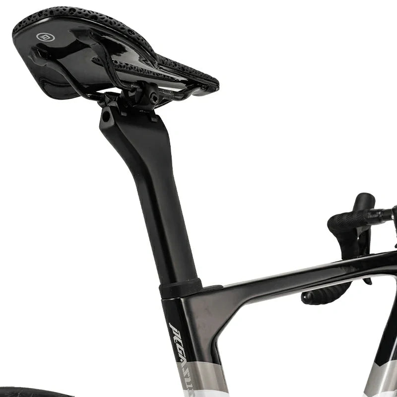 PGZ - Carbon Fiber Road Bike –  Black and White